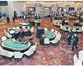 ledong网页版入口电脑免费版